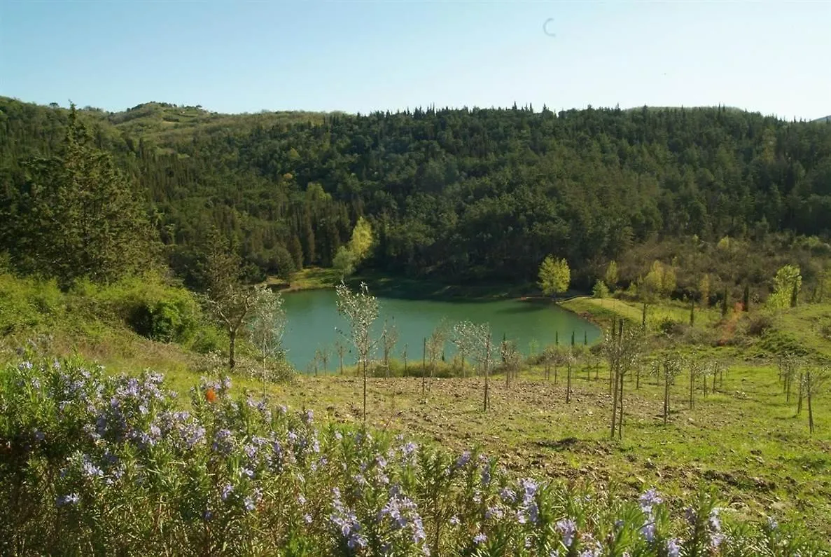 Nicchio Lägenhet Gaiole in Chianti