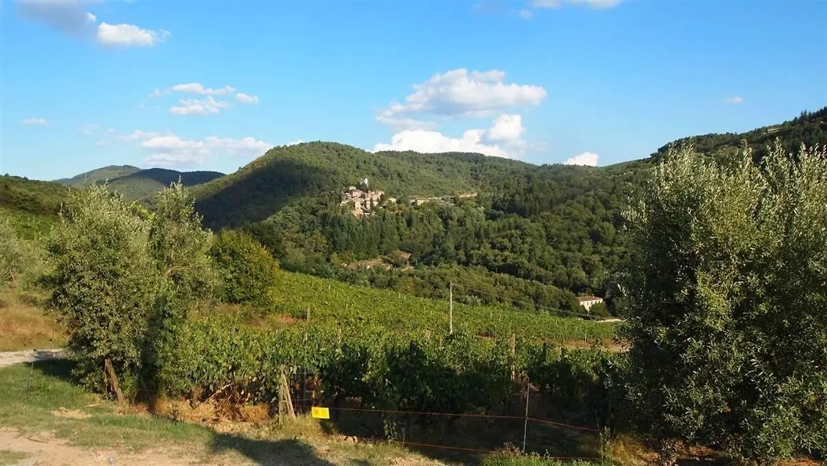 Nicchio Lägenhet Gaiole in Chianti 0*,